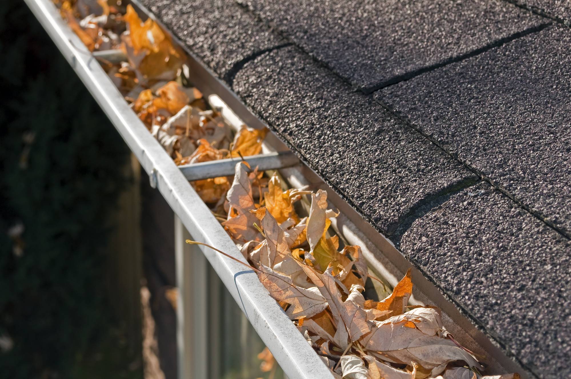Gutter Protection Tips