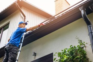 gutter cleaning professional help