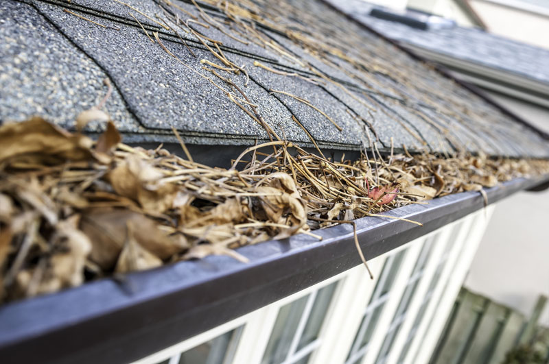 How to Clean Gutters? Best Tips from Vancouver Gutter Experts
