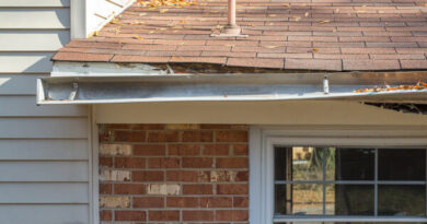 Regional Home Styles – Do all homes need gutters?