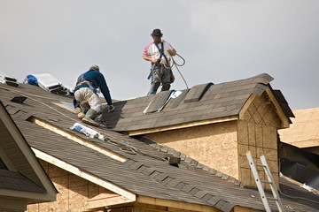Why You Should Hire a Roofing Expert